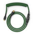 Glorious Coiled Cable Forest Green, USB-C to USB-A - 1,37m, green image number null