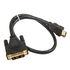 InLine HDMI to DVI Adapter Cable High Speed, black - 0.5m image number null