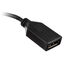 Akasa HDMI to DisplayPort Adapter Cable - black image number null