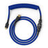 Glorious Coiled Cable Cobalt, USB-C auf USB-A - 1,37m, blue image number null