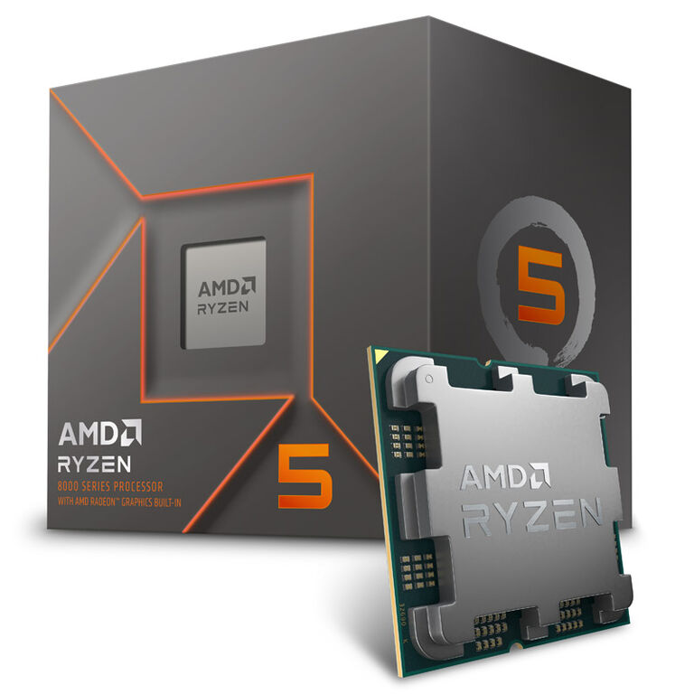 AMD Ryzen 5 8500G 5.0 GHz (Phoenix) AM5 - boxed, with cooler image number 0