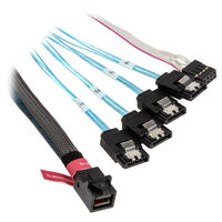 SilverStone SST-CPS05-RE, SAS-HD cable, 12 Gb/s