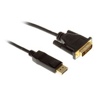 InLine DisplayPort to DVI Converter Cable, black - 1m