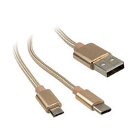 Akasa 2 in 1 USB 2.0 Cable Type A to Micro-B and Type C - 1m, gold