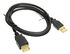 InLine USB 2.0 Extension, gold-plated contacts - 1m image number null