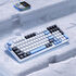 VGN V98Pro V2 Gaming Keyboard, Arctic Fox - Limited Edition (US) image number null