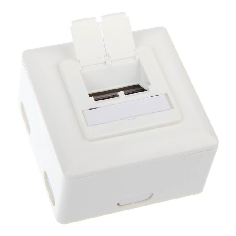 Surface-mounted Cat. 6 inline connection box 2x RJ45 socket, horizontal - white image number 1