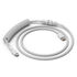 Glorious Coiled Cable Ghost White, USB-C to USB-A, 1.37m - white image number null